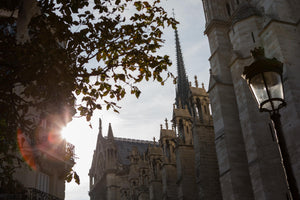 Notre Dame, Paris - Chronicles of Christie