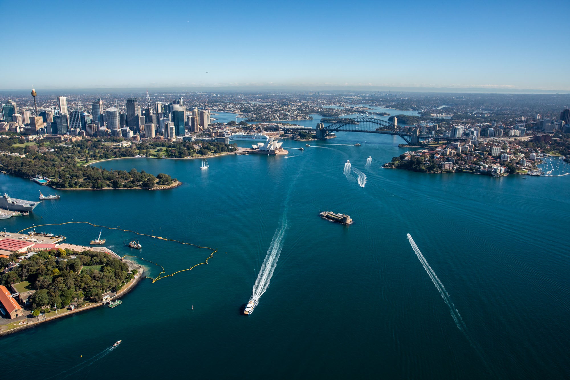 Sydney Harbor - Chronicles of Christie