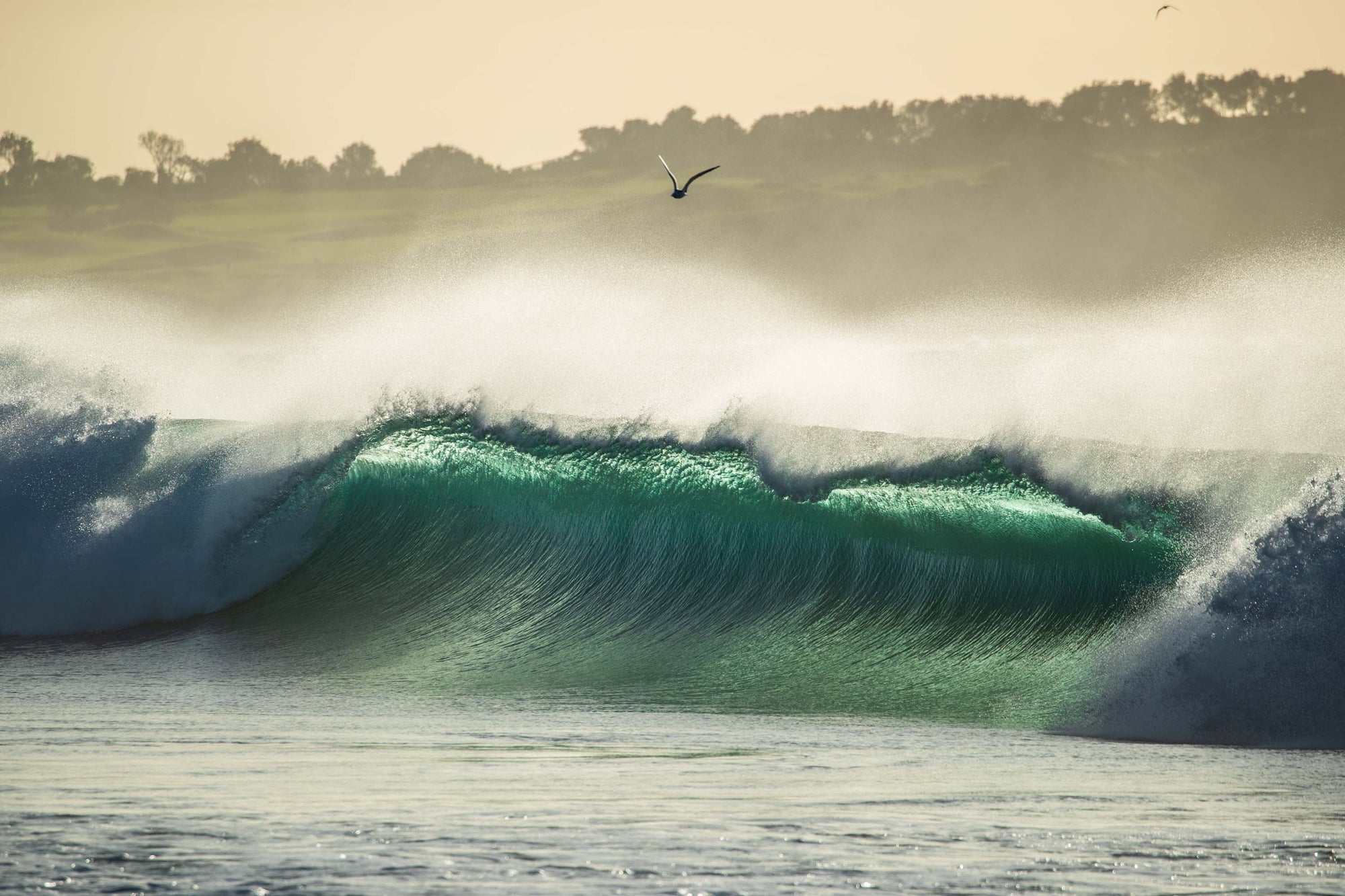 Dee Why Sunrise - Chronicles of Christie